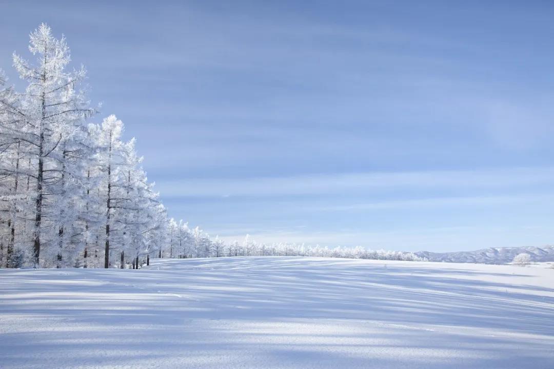 今日大雪！品讀雪中意境！